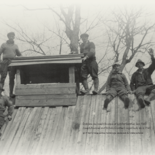 L’érable : savoir-faire, tradition et terroir