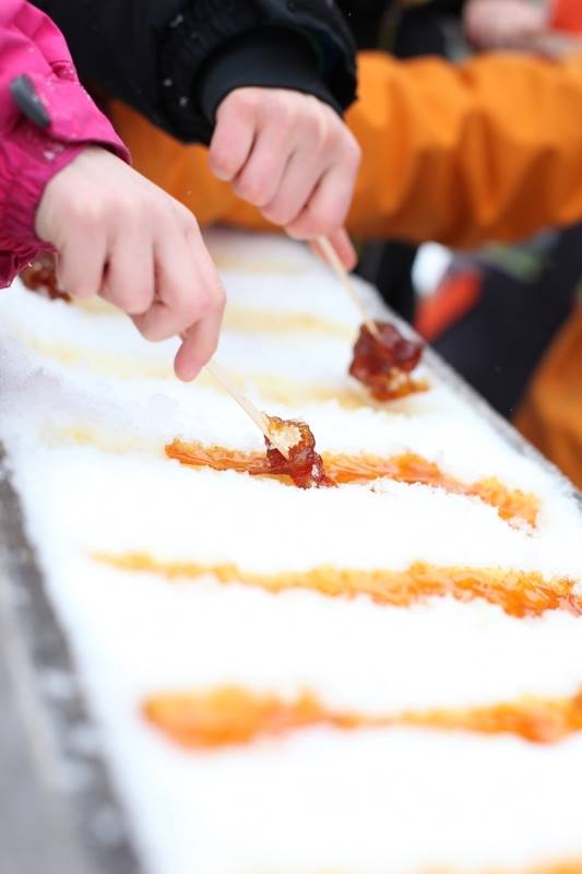 Maple Discovery Package